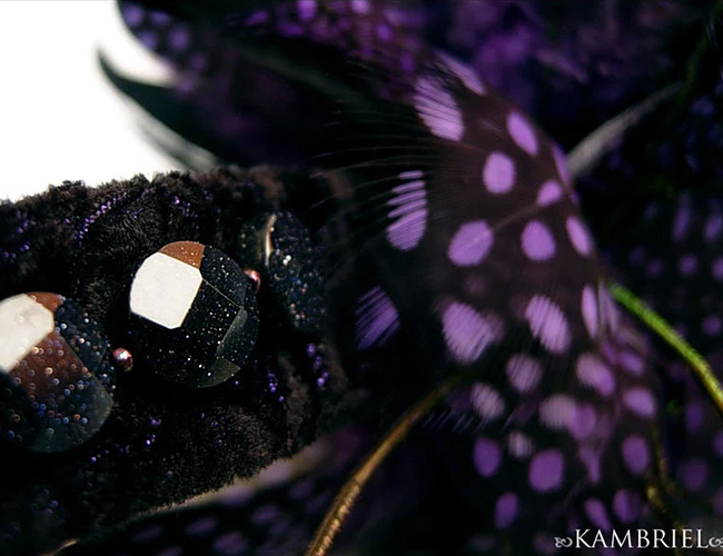 © Kambriel - All Rights Reserved.